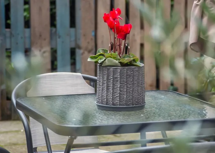 Appartement With Parking *